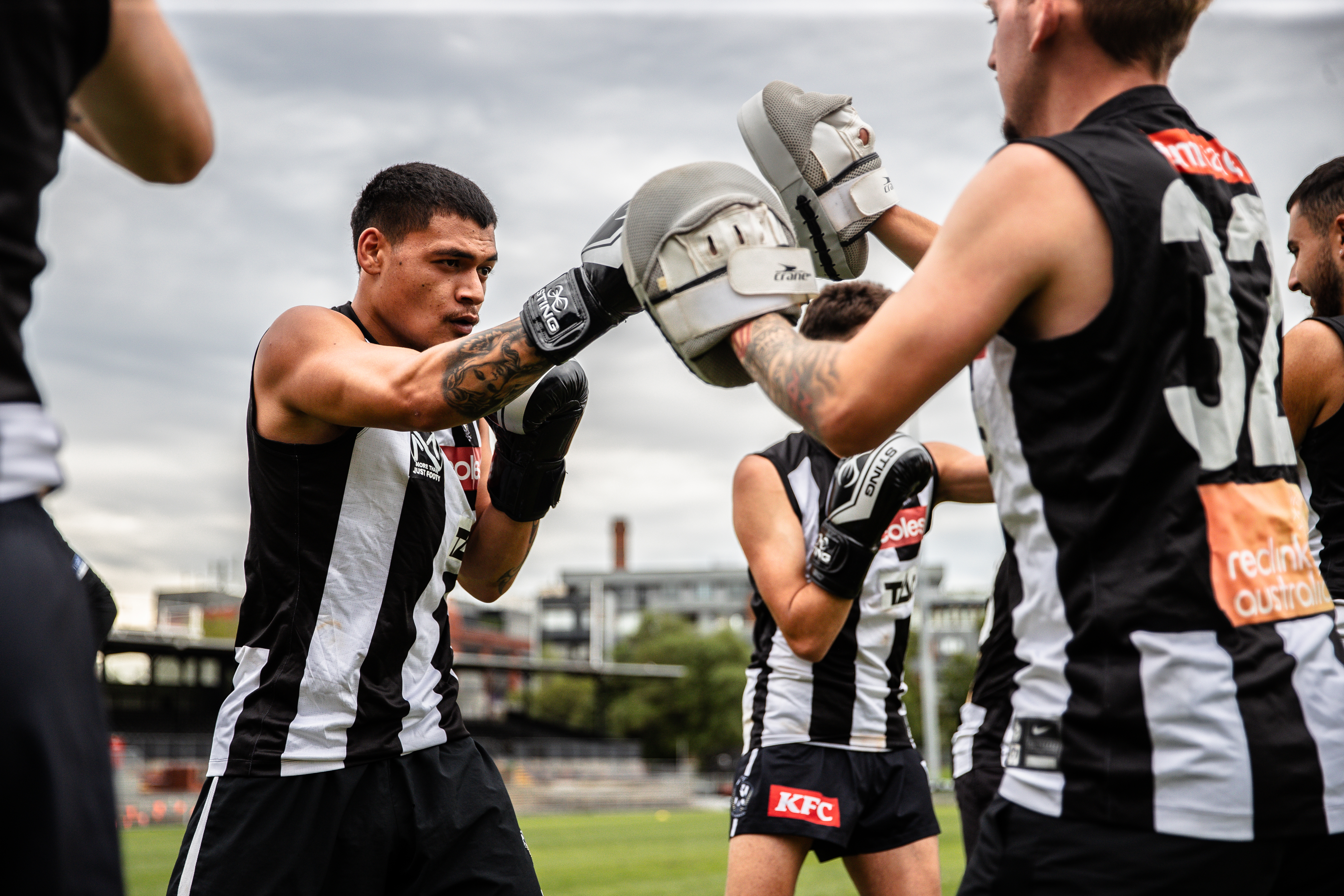 a nest for all, reclink